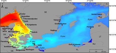 Nitrogen and Phosphorous Content in Blue Mussels (Mytilus spp.) Across the Baltic Sea